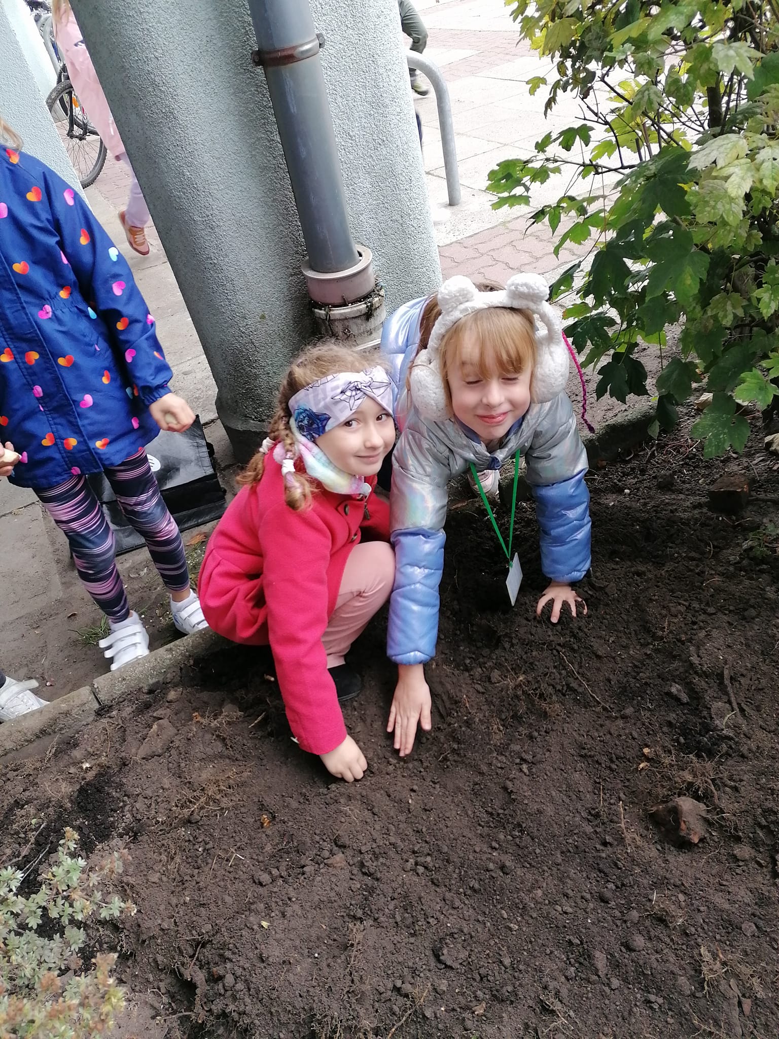 dzieci sadzą cebulki pod szkołą