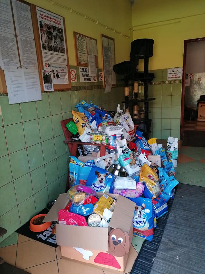 zbiórka z okazji dnia kundelka worki z karmą dla psów